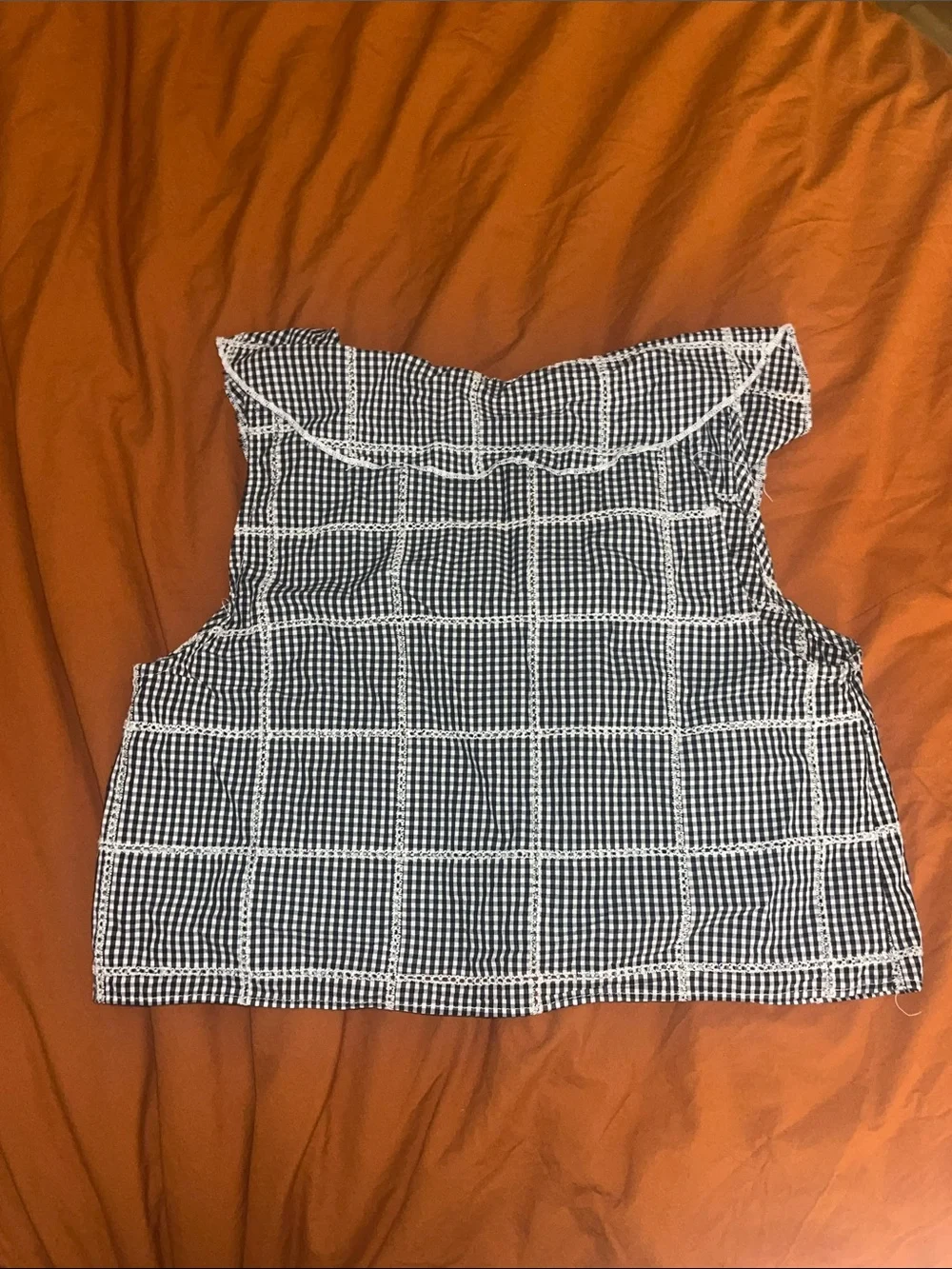 Free People Blue and White Gingham Button Front Cropped Top with Collar